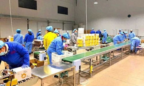 安图医药食品产业园喜迎首季开门红，传输设备创新驱动产业升级